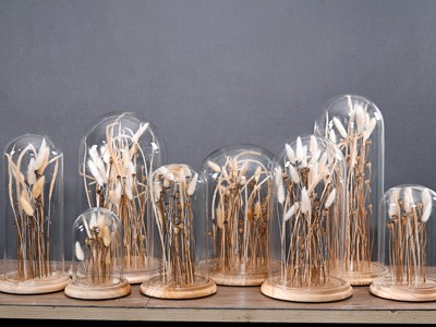 Dried Flowers Series 