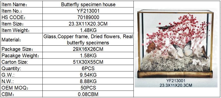 Butterfly Specimen Frame(图1)