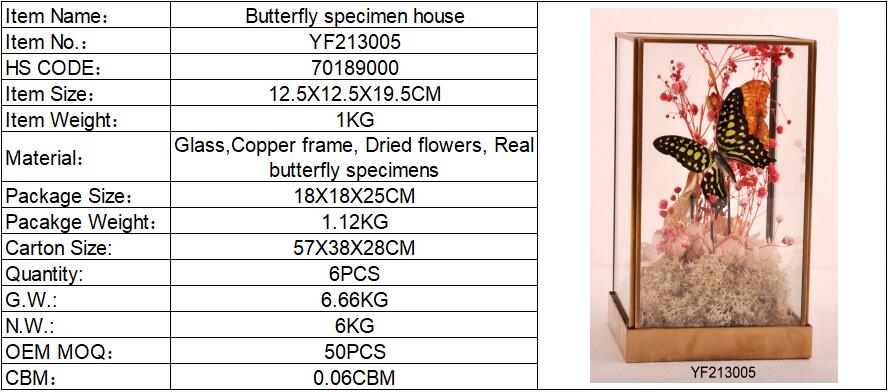 Butterfly Specimen Frame(图5)