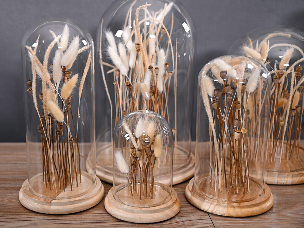 Dried Flowers Series (图3)